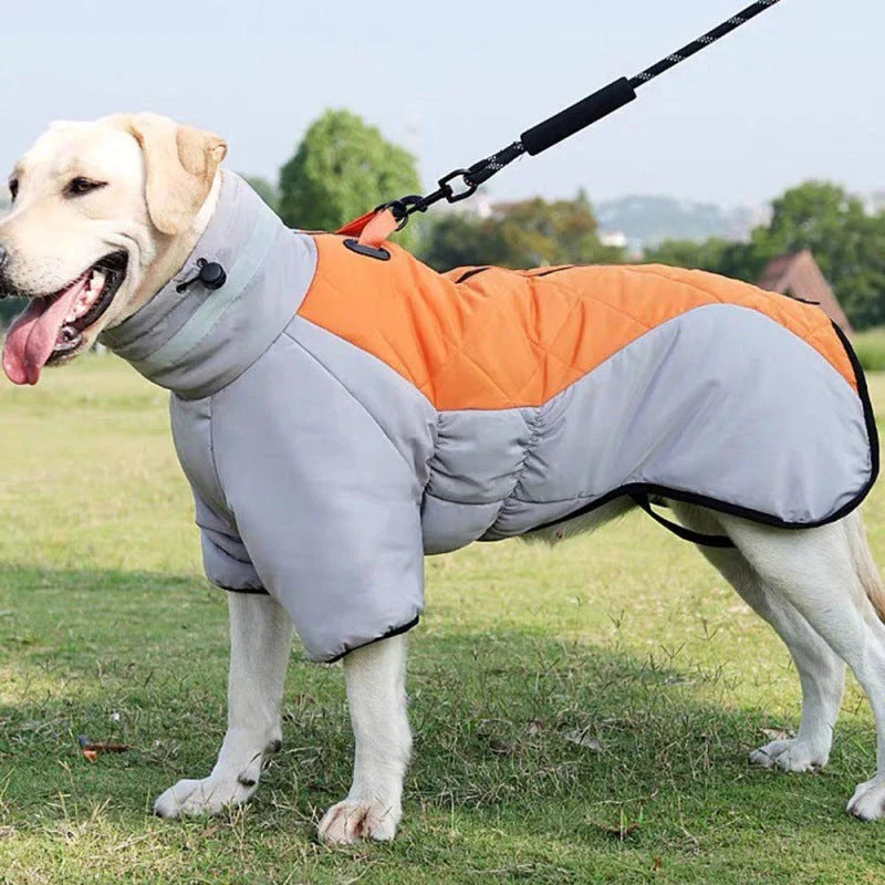 Cozy and waterproof dog coat with thickened insulation, skin-friendly crystal velvet, and adjustable fit for medium to large breeds.