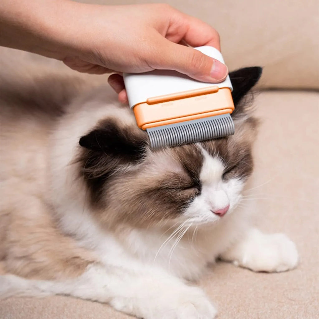 Blue double-sided pet grooming comb for cats and dogs with stainless steel brushing surfaces