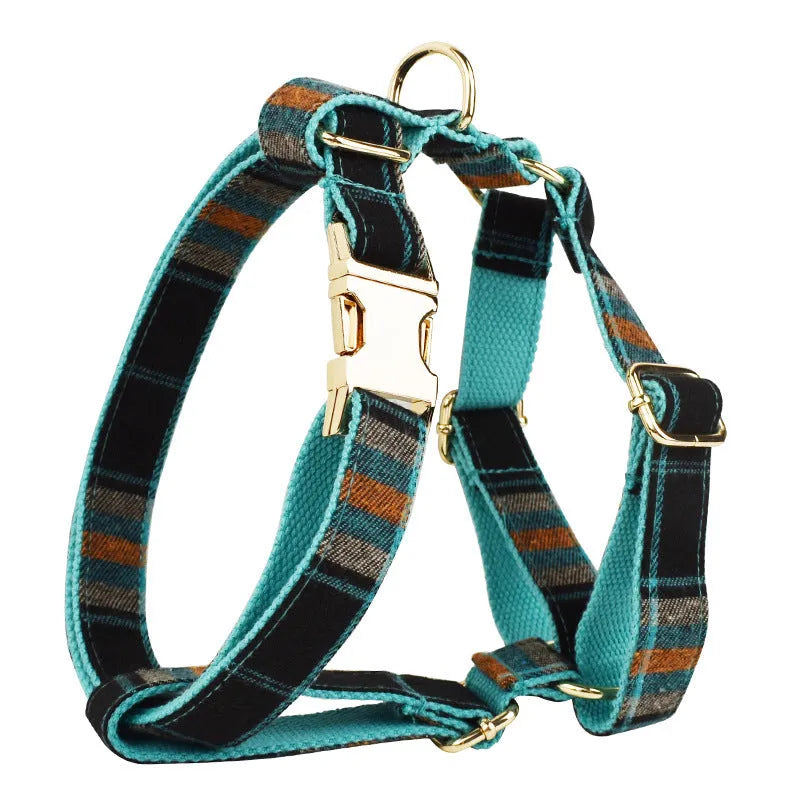 Green retro four-piece dog accessory set with collar, leash, bow and vest on cloth background