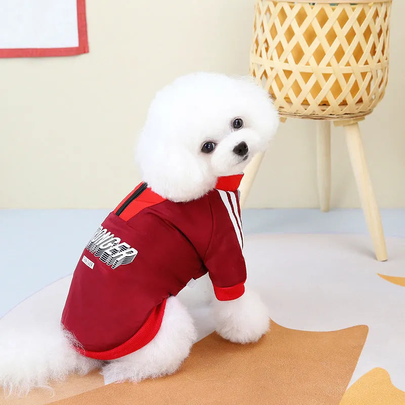 Red cotton dog coat with V-shaped front splicing design on a pet