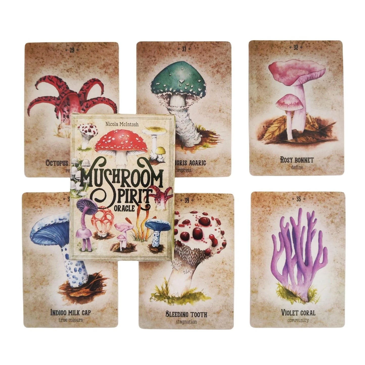 Mushroom Spirit Oracle Card Game for intellectual development and hand-eye coordination