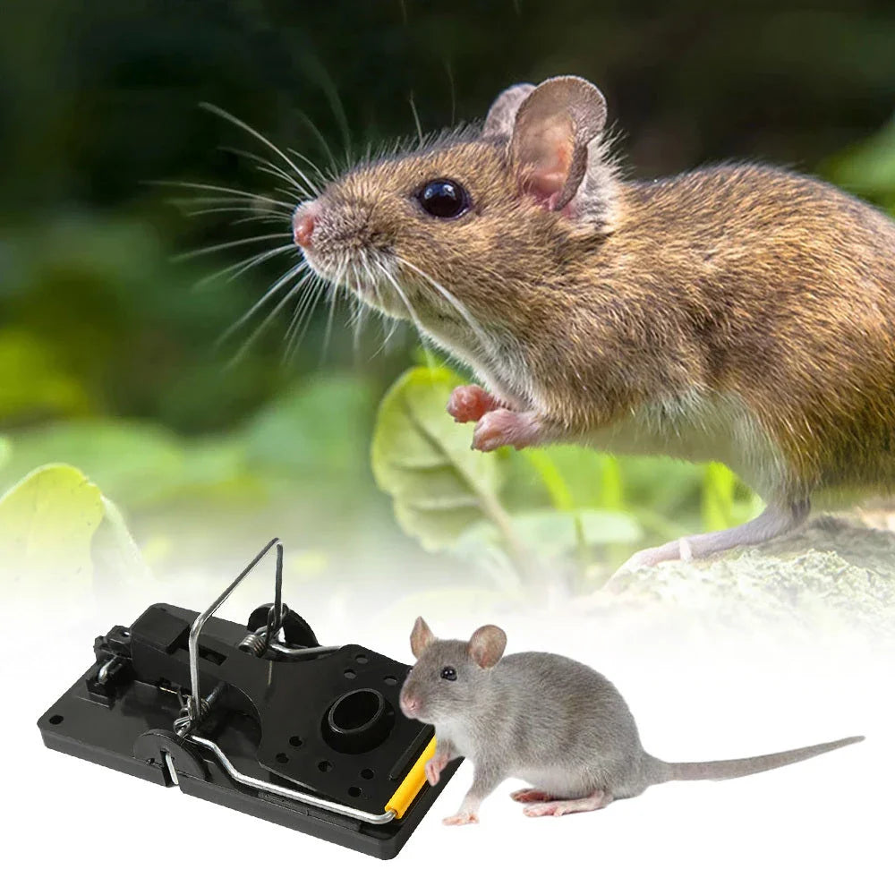 Durable reusable rat and mouse traps made of high-strength plastic and steel, offering effective and humane pest control for American households.