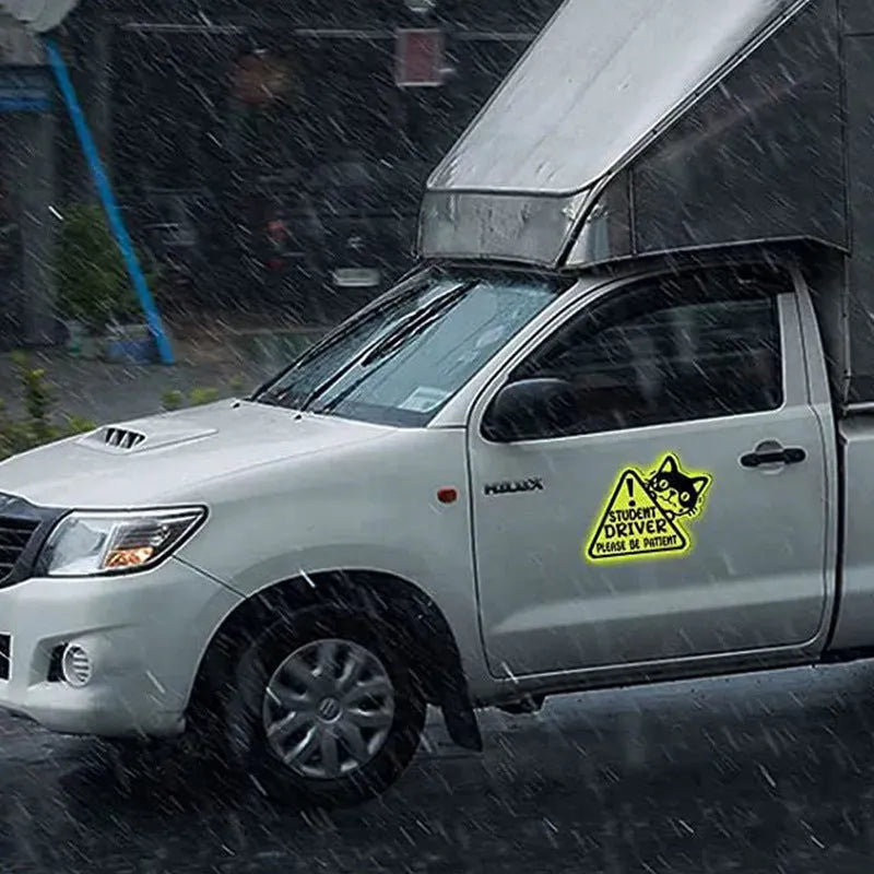 Set of three reflective magnetic car stickers featuring cat, duck, and panda designs on a vehicle window.
