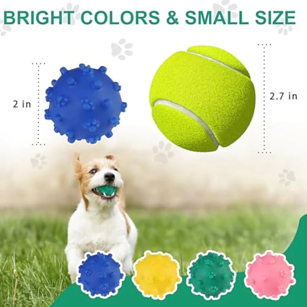 Set of bright blue, green, pink, and yellow spiked squeaky dog balls for small dogs on a lawn.