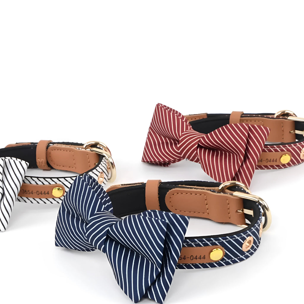 Cotton dog collar with detachable bow in wine red, dark blue or white with optional leather lettering