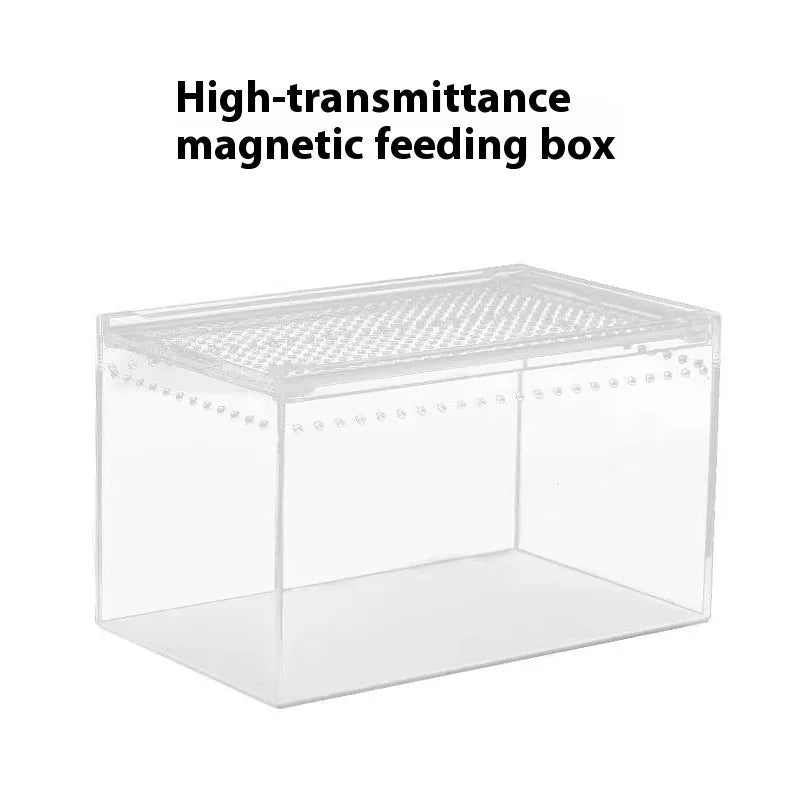 Transparent acrylic reptile feeding box showing dimensions and clear construction for crawler pets