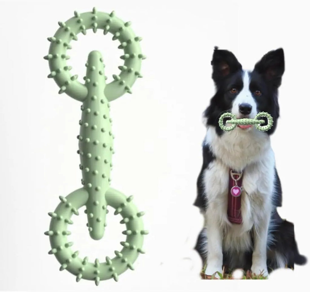 Blue TPR dog chew toy ring measuring 16cm diameter for puppy teething and safe chewing