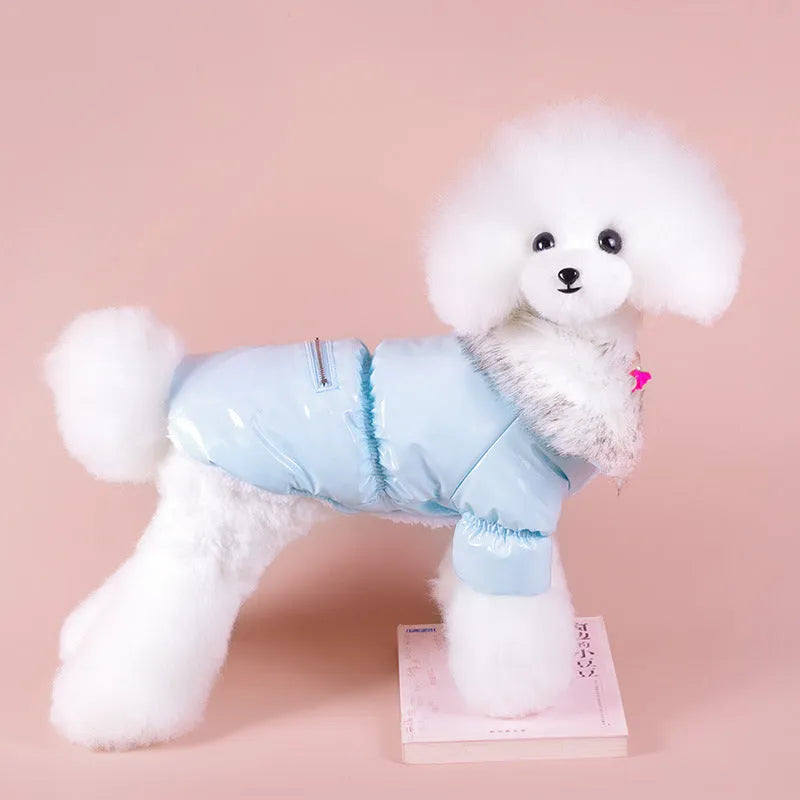 Blue cotton dog coat with British style design for autumn and winter wear