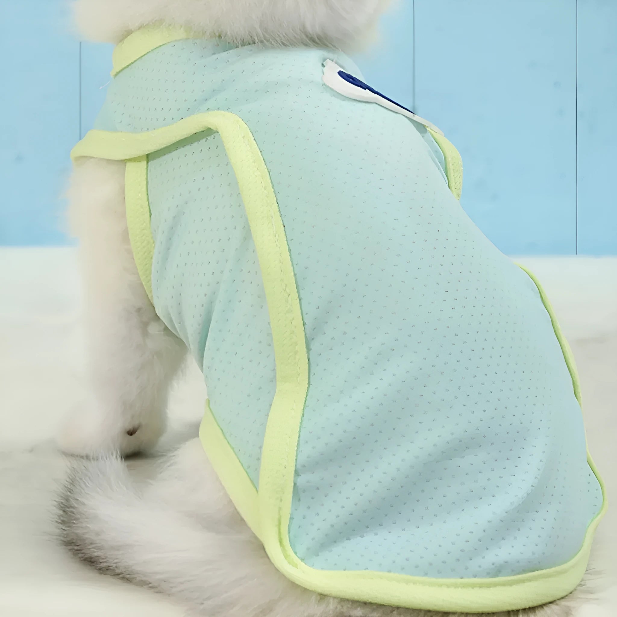 Grass green lightweight polyester vest for a cat on a white background.