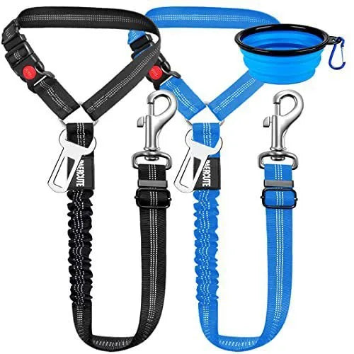 Nylon dog leash with metal buckle in multiple colour options
