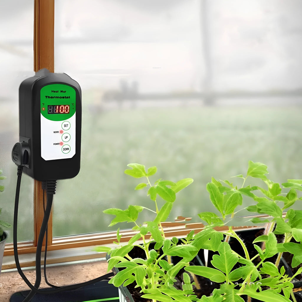 BH1912020 digital temperature controller with LCD display showing temperature readings