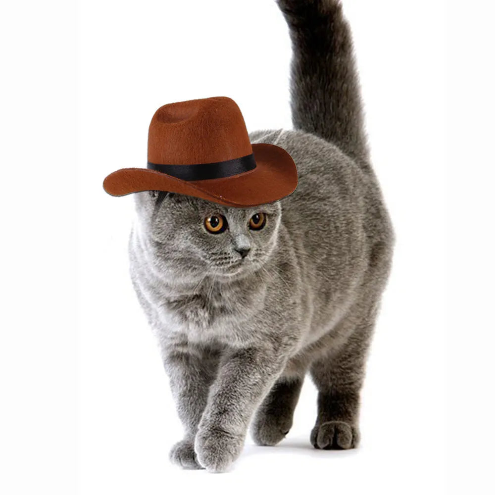 Adjustable cowboy hat for pets in black, brown, burgundy, or coffee colours