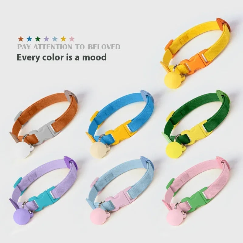 A stretchy, solid-colour polyester dog collar for small dogs, shown on an adjustable buckle.