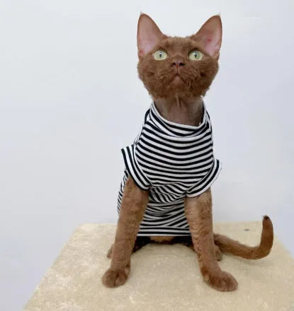 Winter stretch fleece vest for pets in green stripes on a small dog