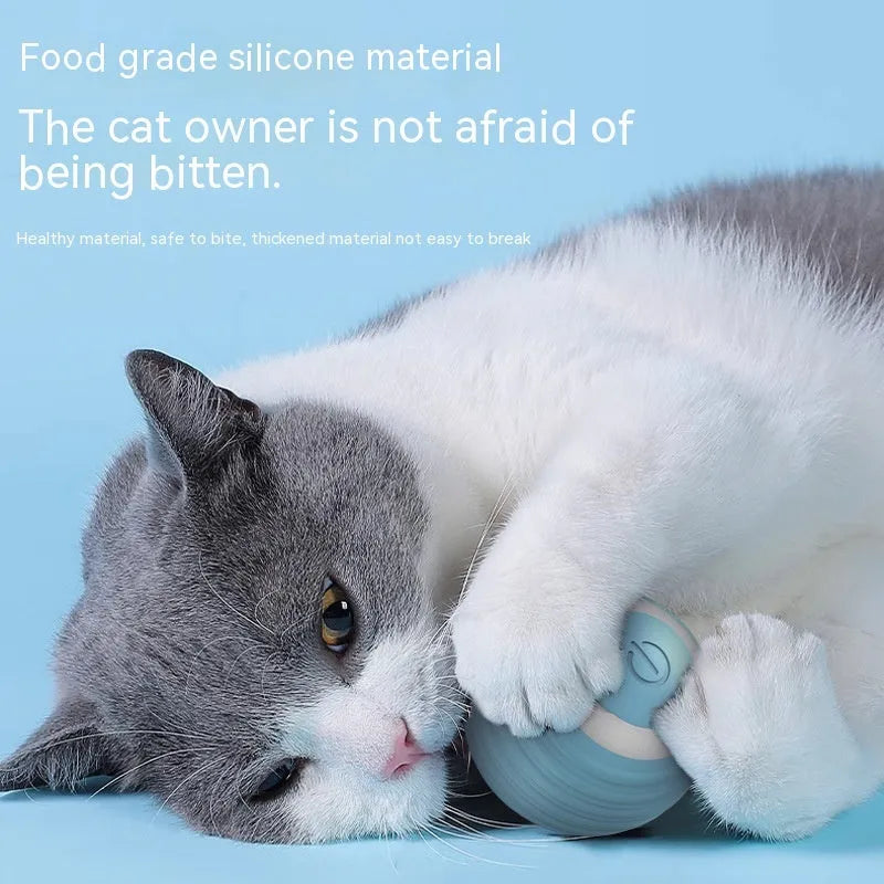 Blue and pink rechargeable automatic moving silicone cat toy ball with charging cable.
