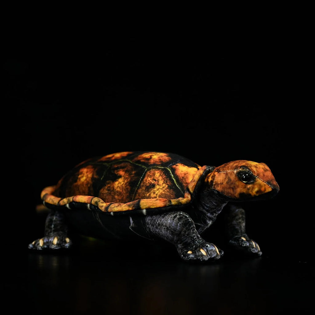 Coffee-coloured Japanese stone turtle plush toy 32cm from mouth to tail on neutral background