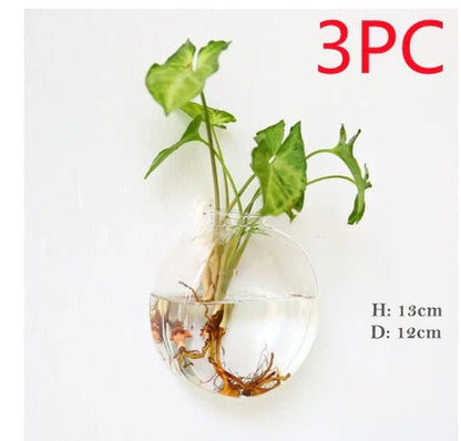 Elegant wall-mounted glass flower vase terrarium with various shapes and designs for home decor and indoor gardening