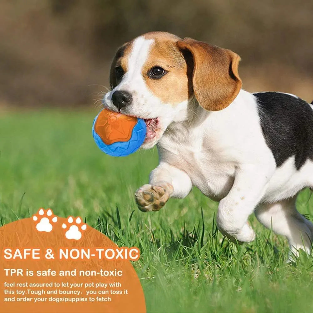 Three TPR floating squeaky dog toys: a red ball, a blue barbell, and an orange tyre.