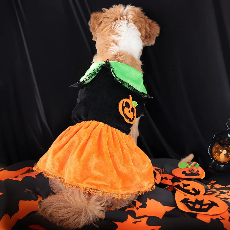 Halloween pet costume showing pumpkin skirt and sweater options in crystal velvet material for dogs and cats