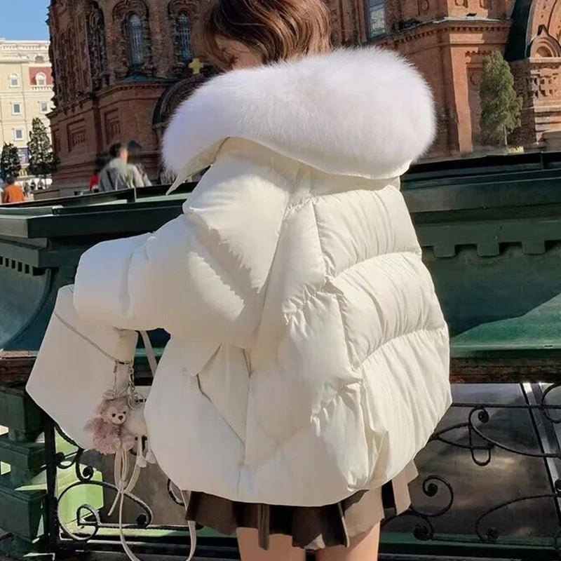 Women's winter down jacket with elegant fur collar available in brown, black, and white.