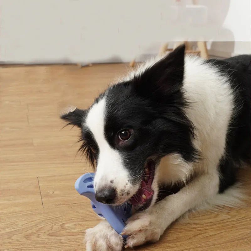 Blue rubber bone molar shaped dog chew toy for medium and large breed dogs