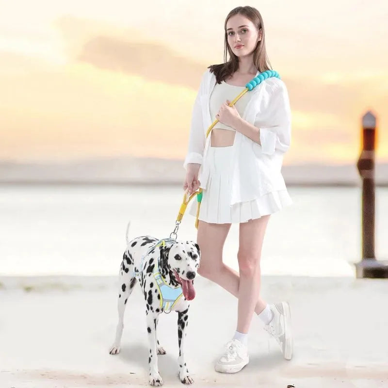 Nylon dog leash with foam handle in four colour options: black, light purple, sky blue, yellow.