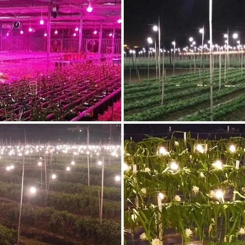 LED plant grow light bulb with PC shell and E27 base for indoor cultivation