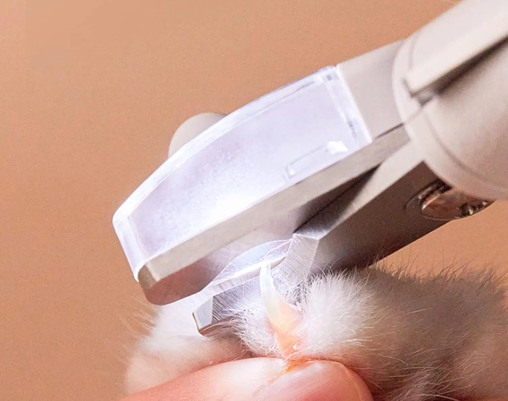White pet nail clippers with LED light, transparent guard, and nail file on a grey background.