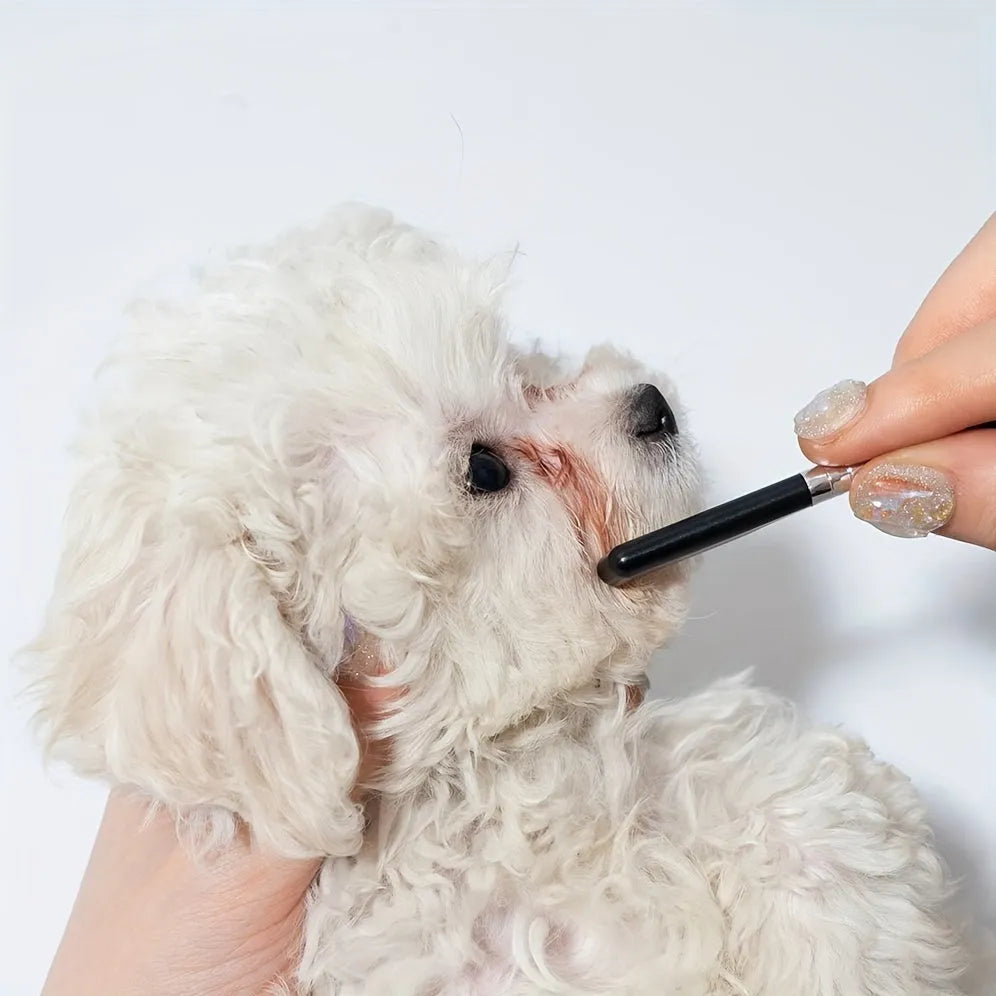 Black pet grooming brush with dual-sided silicone bristles and comb for dogs and cats
