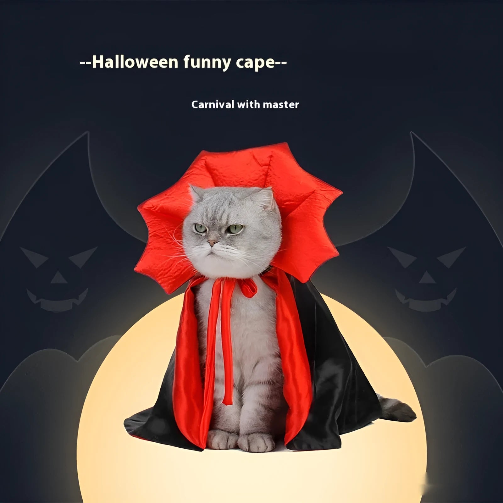 Black and red Halloween costume for pet cat or dog with European style design
