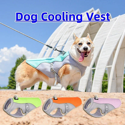 Breathable dog cooling vest in various colors and sizes, designed to keep pets cool and comfortable during outdoor summer activities