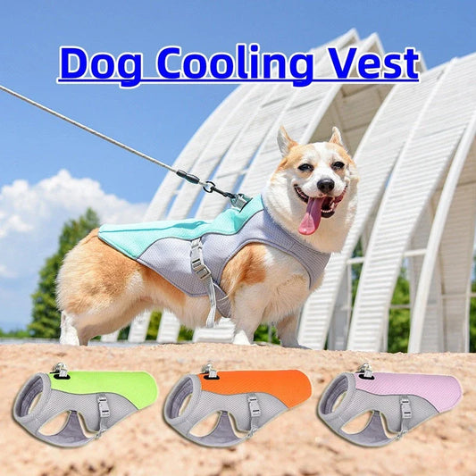 Breathable dog cooling vest in various colors and sizes, designed to keep pets cool and comfortable during outdoor summer activities