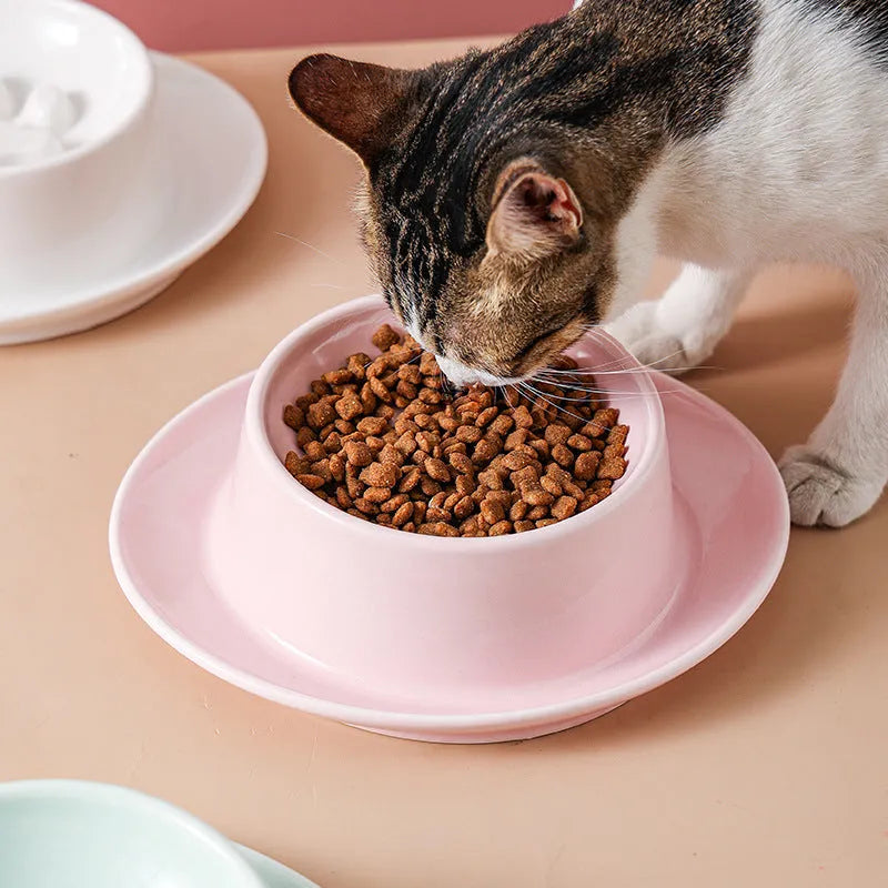 Ceramic slow feed pet bowl in green with internal ridges and neck protection design.