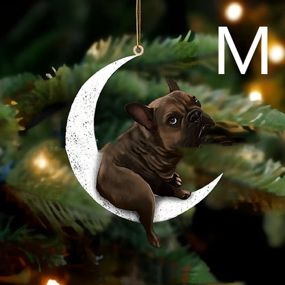 8.5cm acrylic hanging ornament with dog design in picture colour, style A labrador on clear background