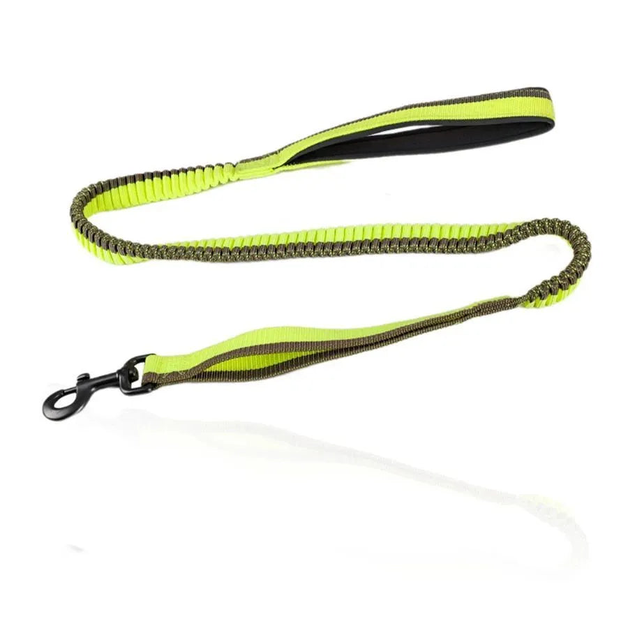 Green anti-violence dog training leash with elastic shock-resistant design and metal clip