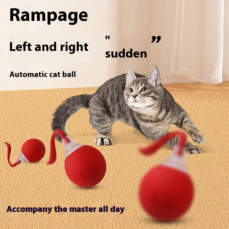 Interactive Cat Toy Ball Super Drive with auto shut-off and wake-up features