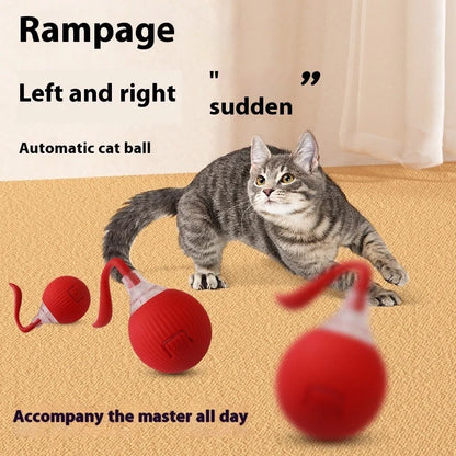 Interactive Cat Toy Ball Super Drive with auto shut-off and wake-up features