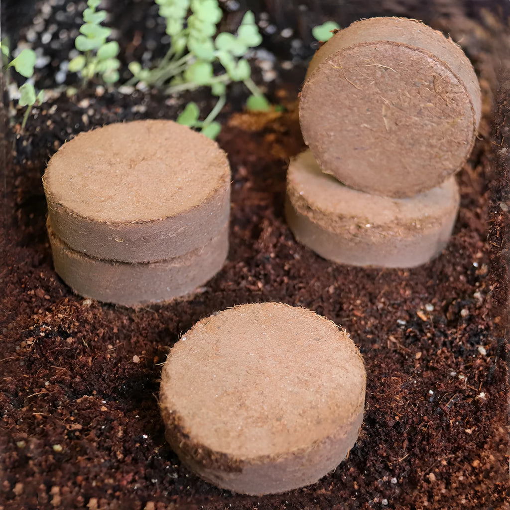 Loose nutrient soil medium blocks for vegetable planting and seedling cultivation in various sizes.