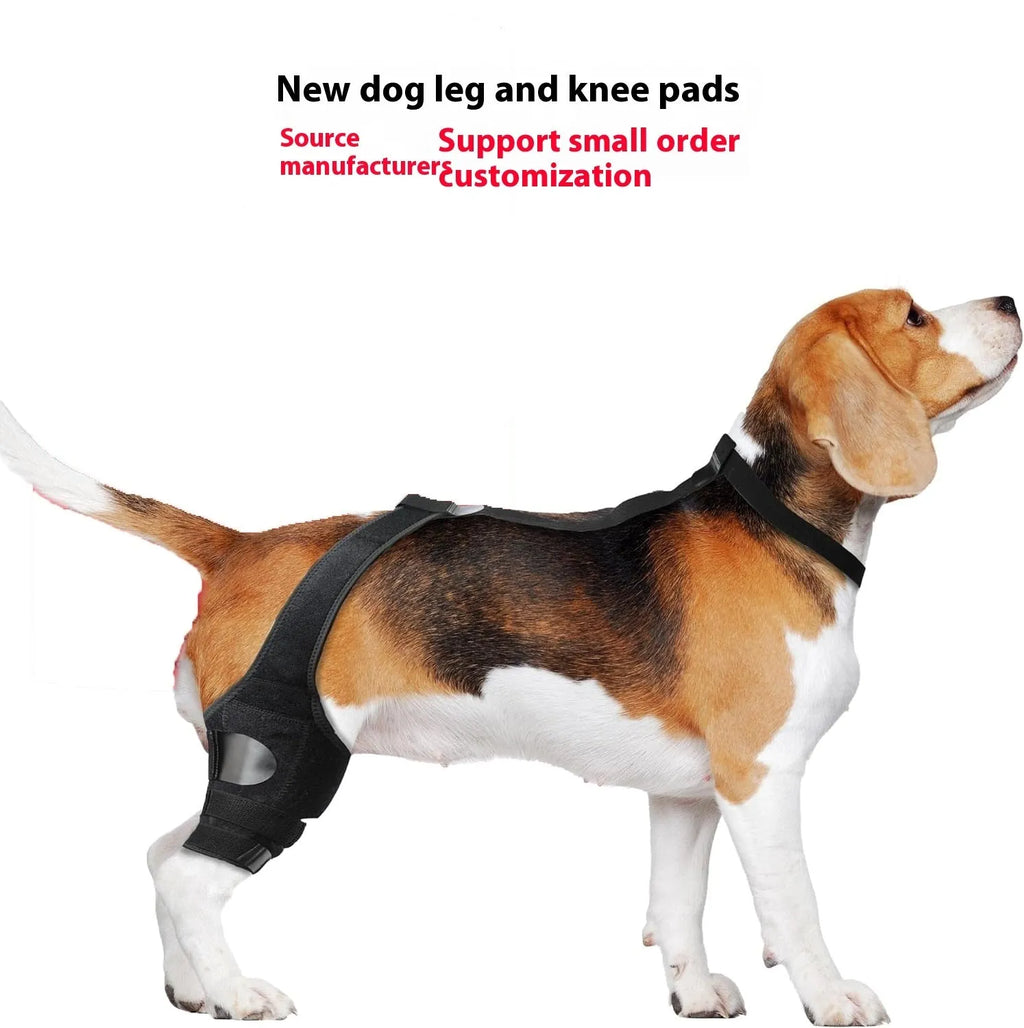Neoprene dog hind leg knee brace assist strap in collar black colour showing adjustable design for pet leg support