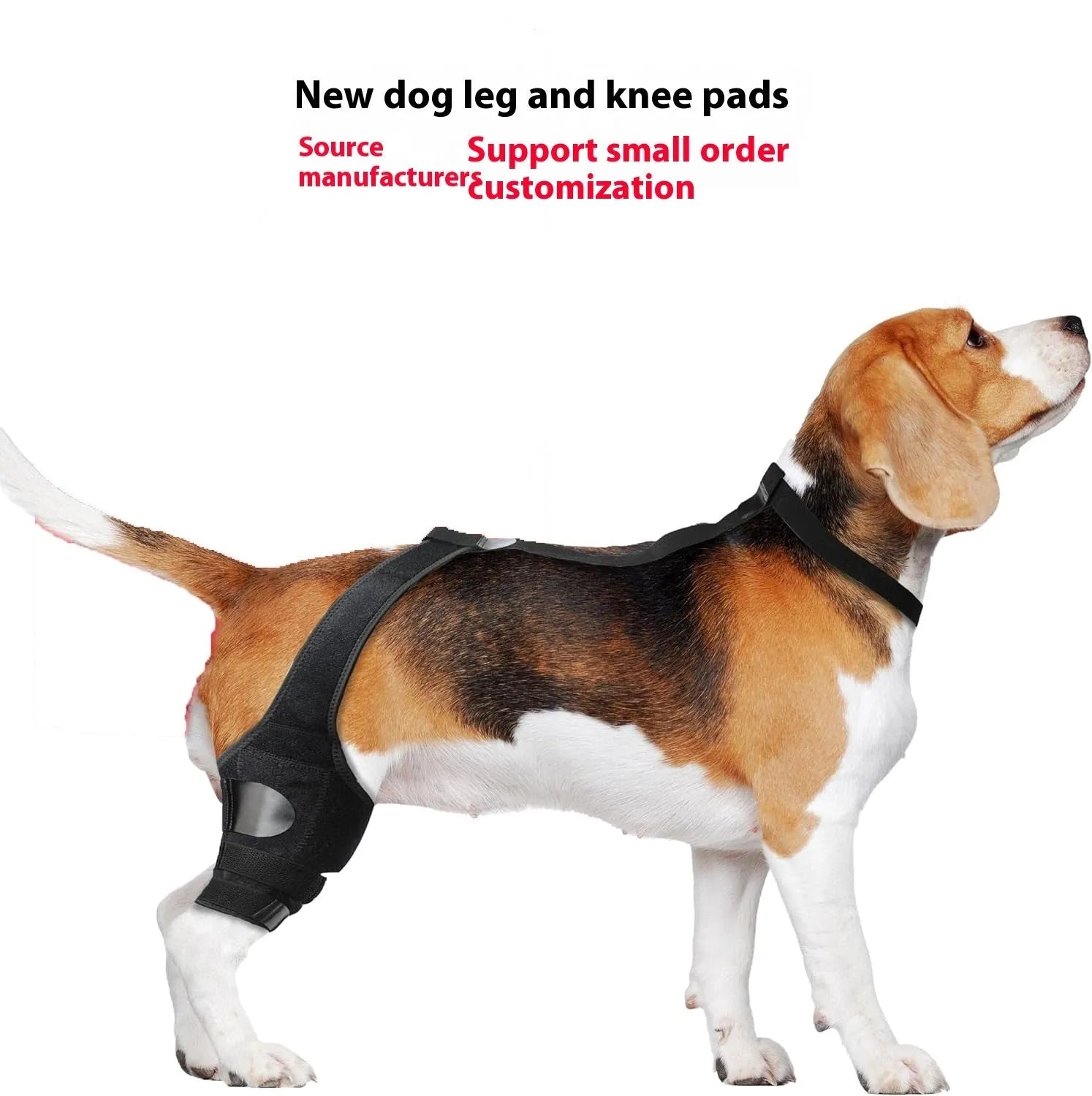 Neoprene dog hind leg knee brace assist strap in collar black colour showing adjustable design for pet leg support