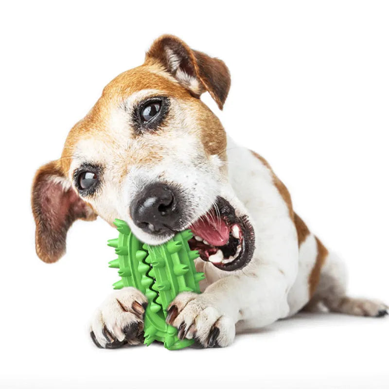 Green durable cactus-shaped dog toothbrush toy for medium to large aggressive chewers on a white background.