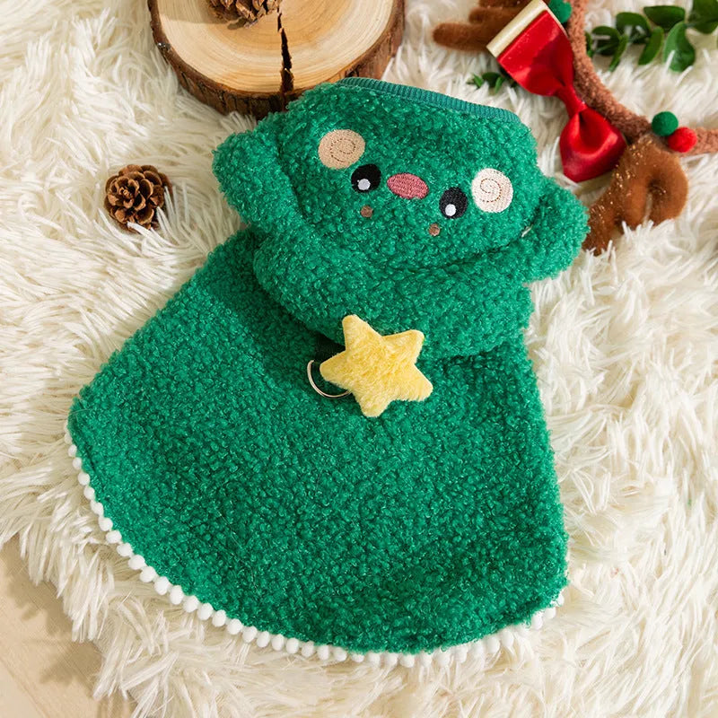 Cat wearing a green granular velvet Christmas cape with a star-topped tree hat, standing on a wooden floor
