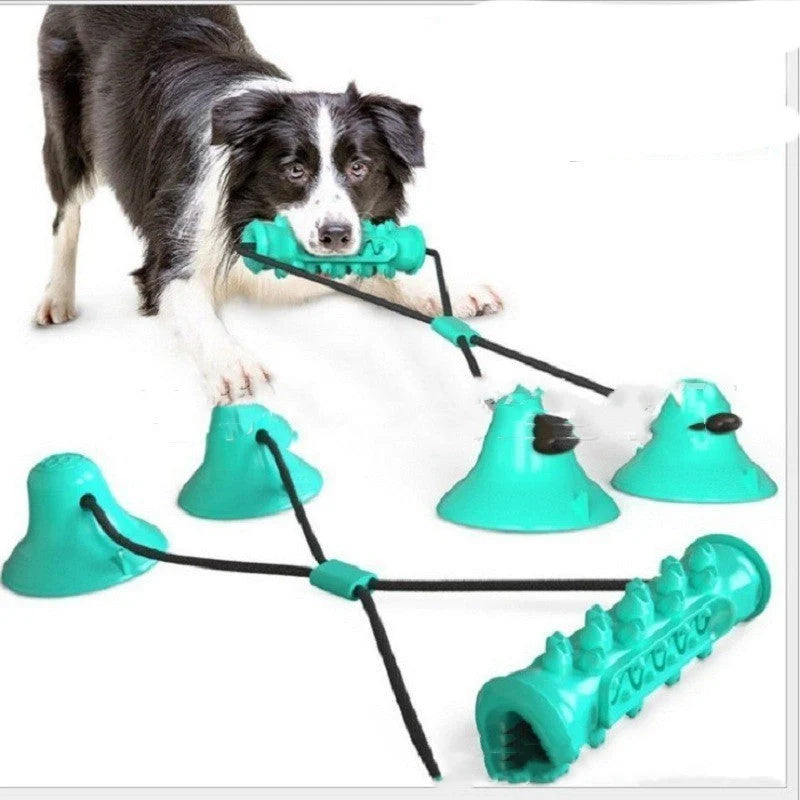 Durable suction cup molar toy for dogs promoting dental health through play