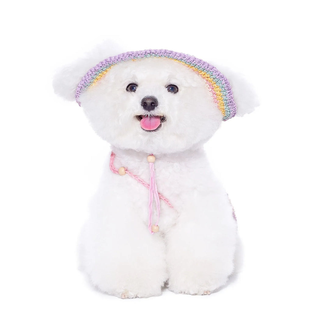 Small dog woven sun hat in 100% paper summer style for Yorkshire Bichon breeds