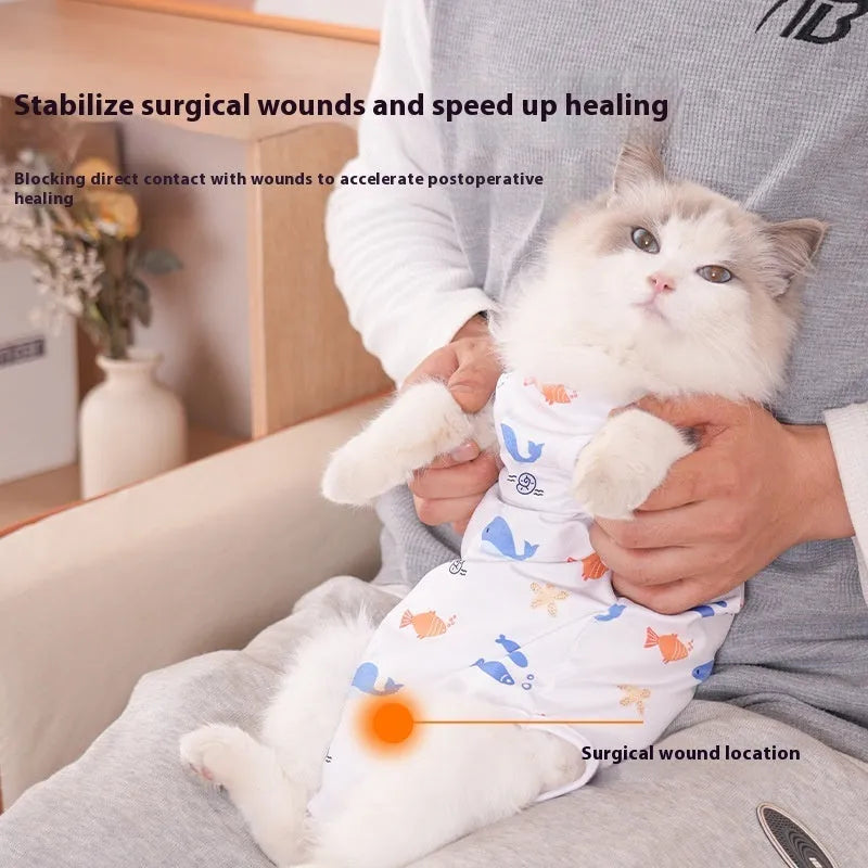 Colourful printed cat sterilisation suit with velcro closures for post-operation recovery.