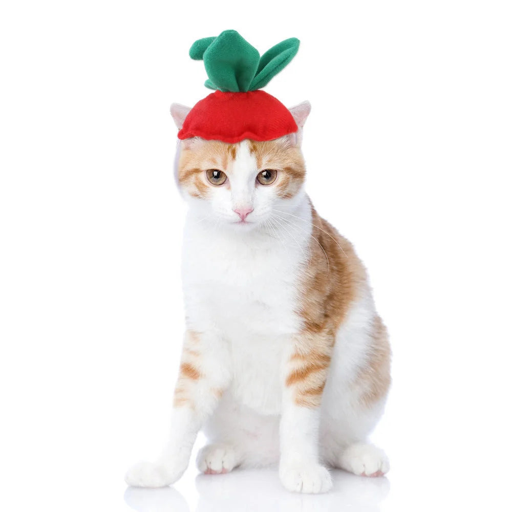 Cartoon-style cloth hat for cats in various designs, perfect for warmth and style