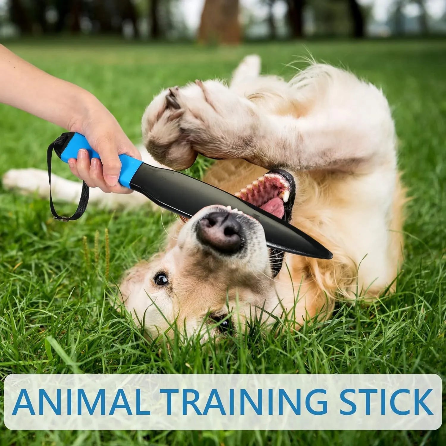 Blue handled nylon dog break stick for bite training measuring 35cm long
