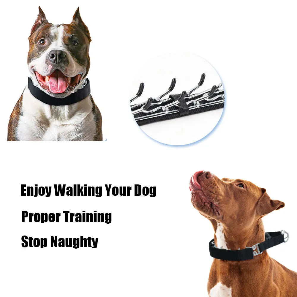 Spike dog training chain collar with metal construction in reflective colours