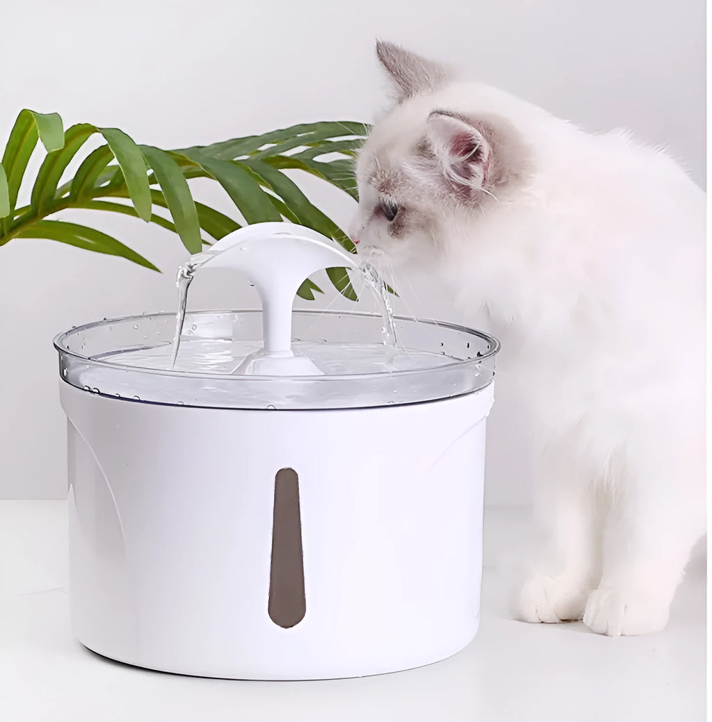 White pet water dispenser with automatic circulation, 2.5L capacity, for cats and dogs
