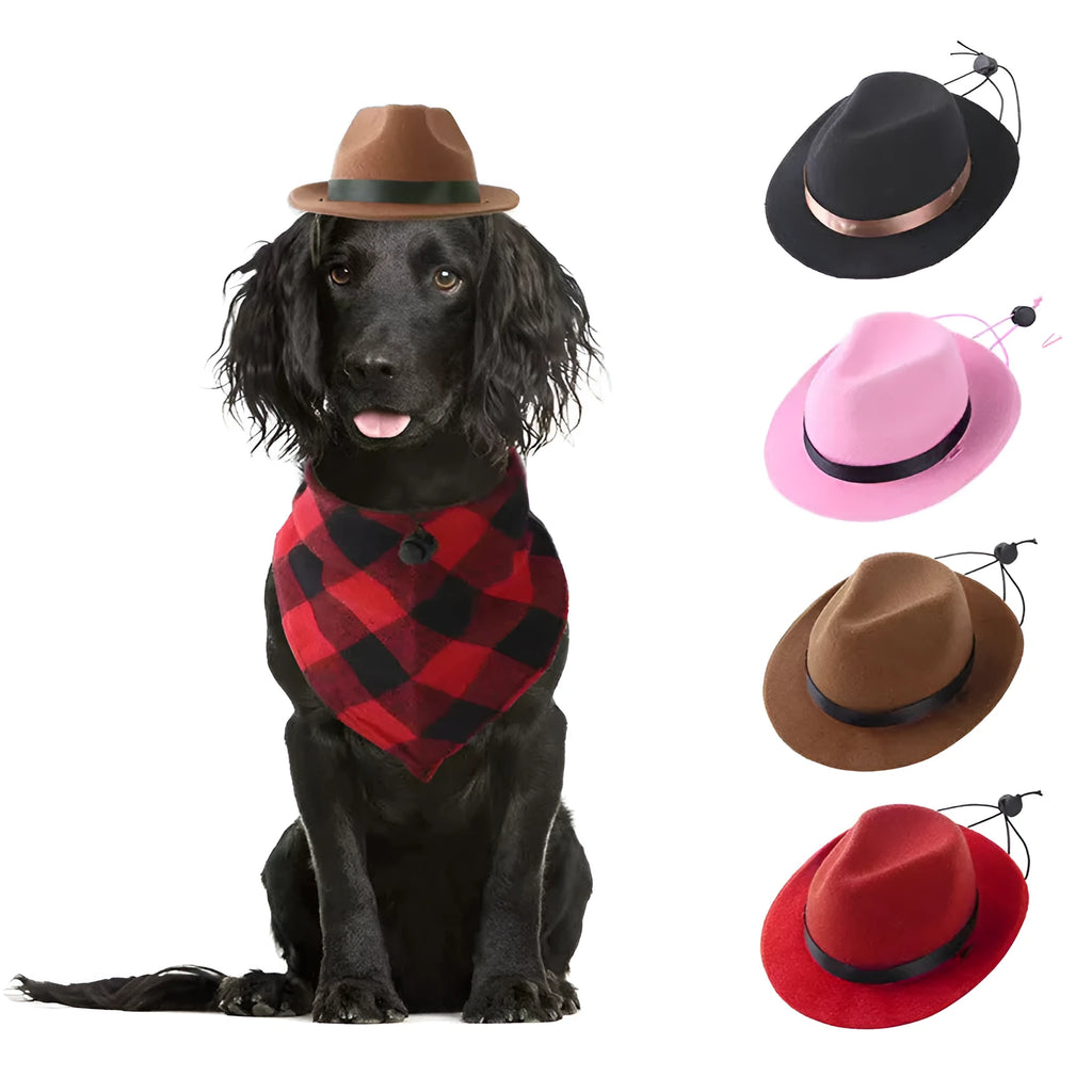 S size 155cm diameter felt pet hat in monochrome denim style with hairpin attachment for small dogs and cats